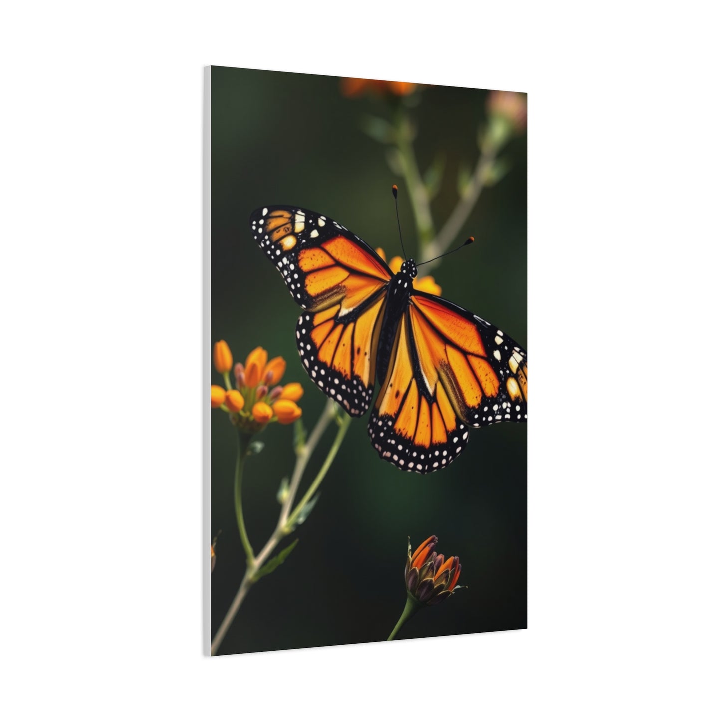 Masterpiece Monarch Butterflies Art Vision Wall Art & Canvas Print