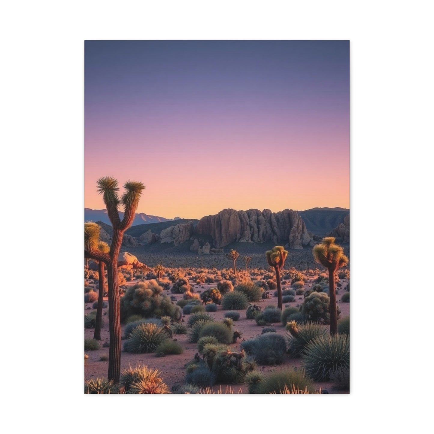 Joshua Tree National Park Art Supreme Gallery Wall Art & Canvas Print