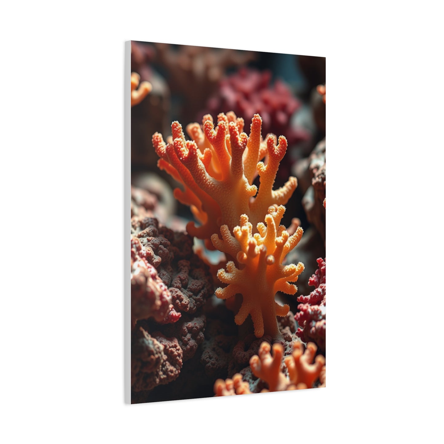 Coral Art Supreme Gallery Wall Art & Canvas Print