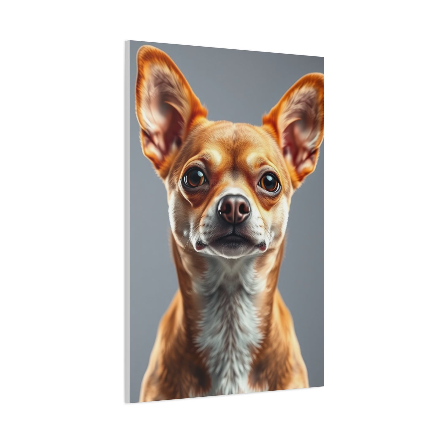 Supreme Chihuahua Dog Art Collection Wall Art & Canvas Print
