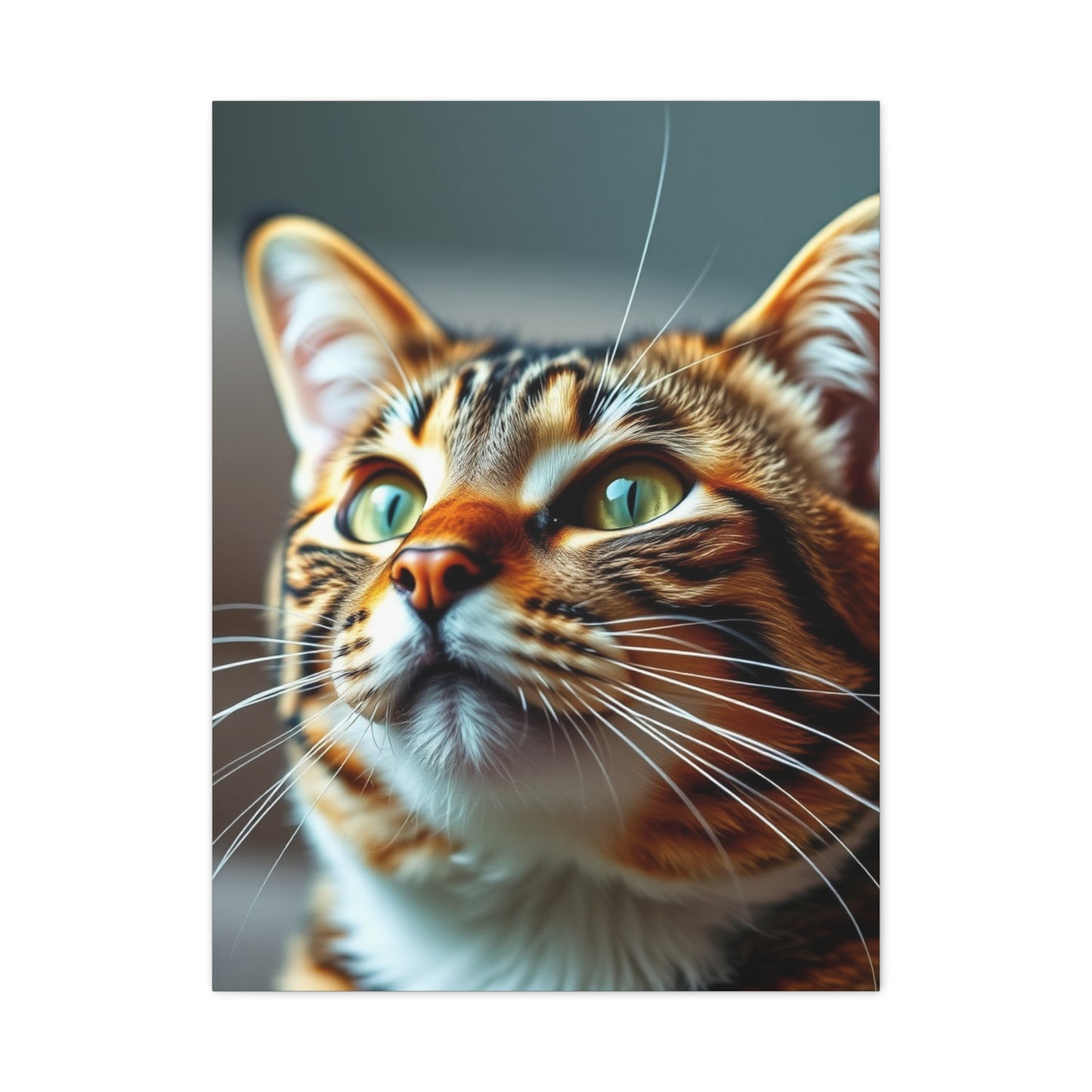 Supreme Tabby Cat Art Collection Wall Art & Canvas Print