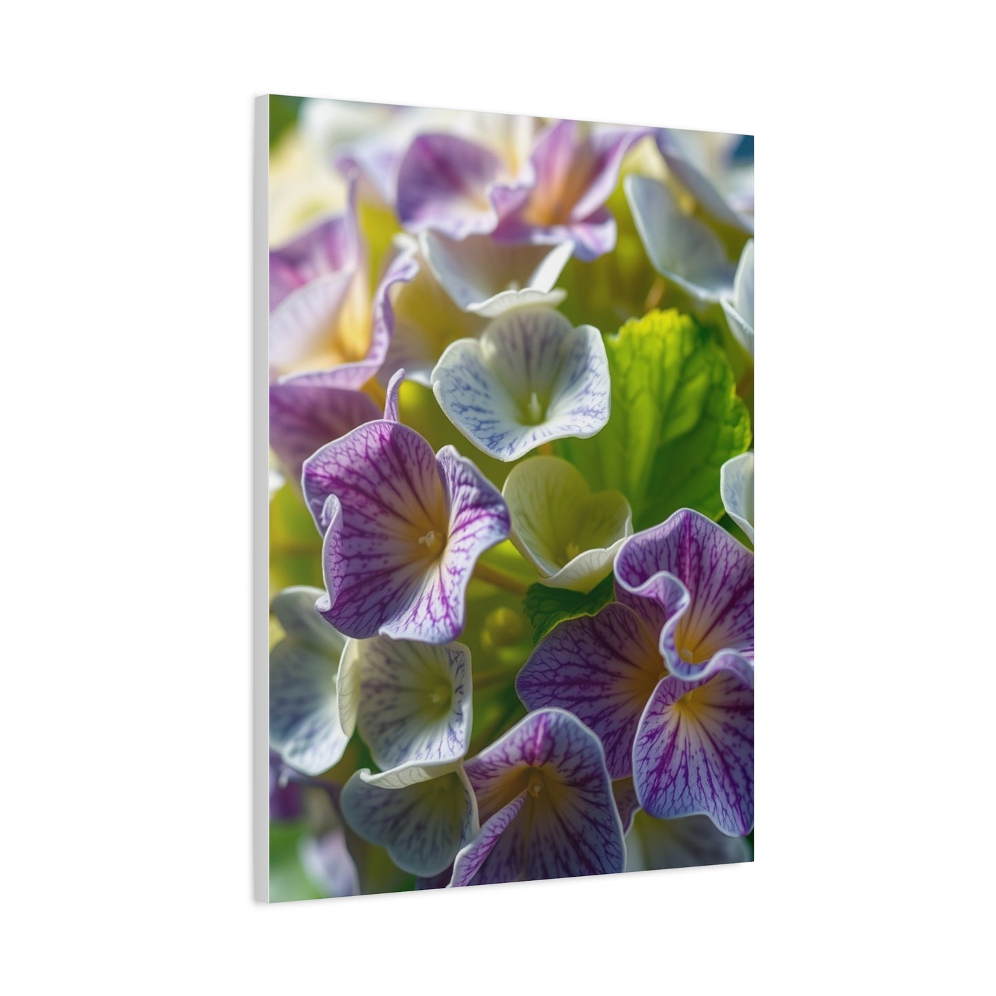 Hydrangea Flower Art Supreme Gallery Wall Art & Canvas Print