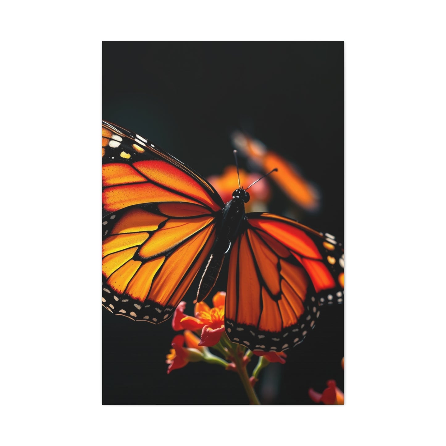 Elite Monarch Butterflies Art Vision Wall Art & Canvas Print