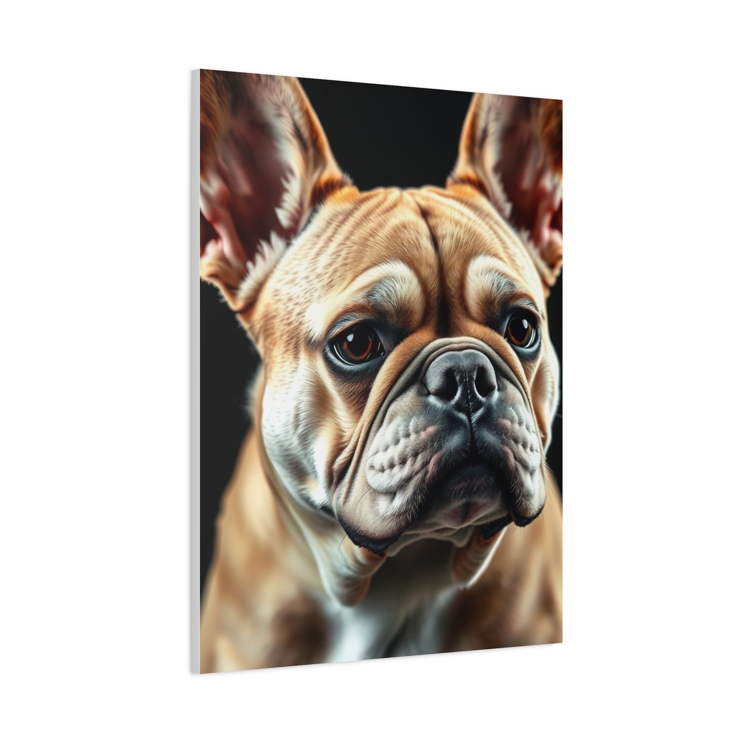 Supreme French Bulldog Art Collection Wall Art & Canvas Print