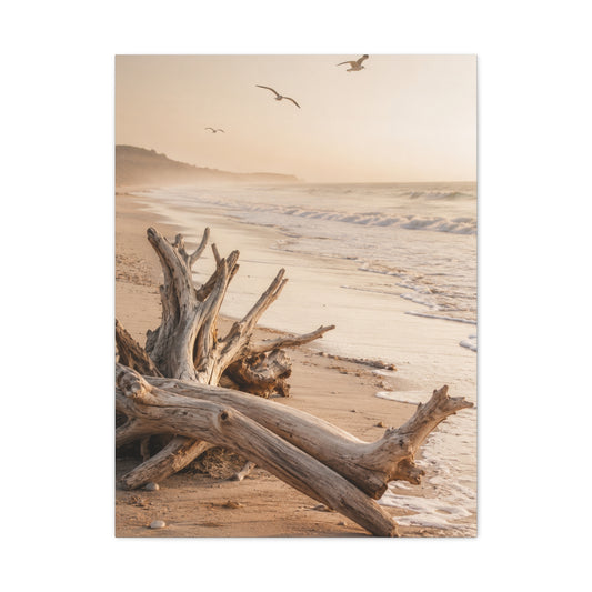 Driftwood Coastal Stillness Shore Wall Art & Canvas Print