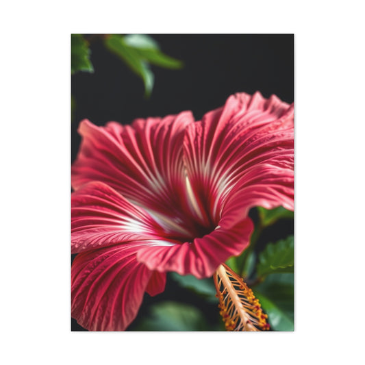 Hibiscus Flower Art Supreme Gallery Wall Art & Canvas Print