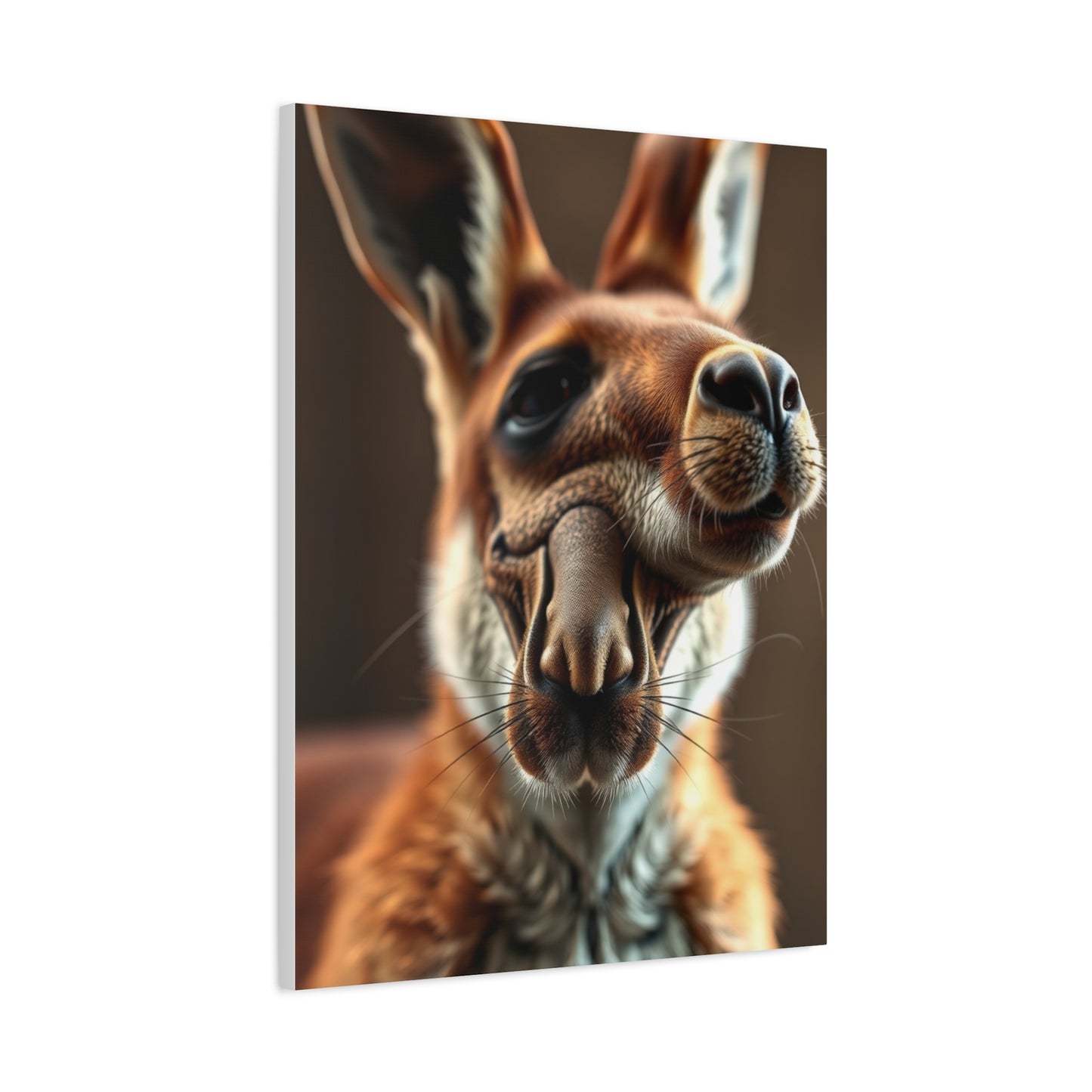 Supreme Kangaroo Art Collection Wall Art & Canvas Print