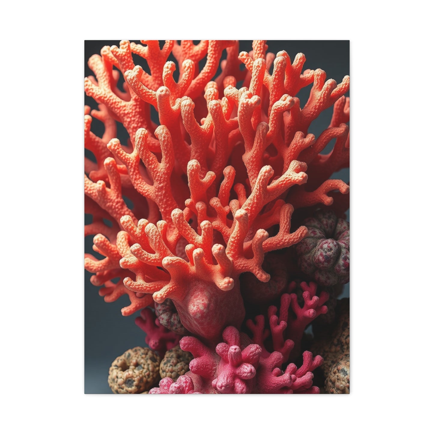 Collection Coral Art Art Wall Art & Canvas Print