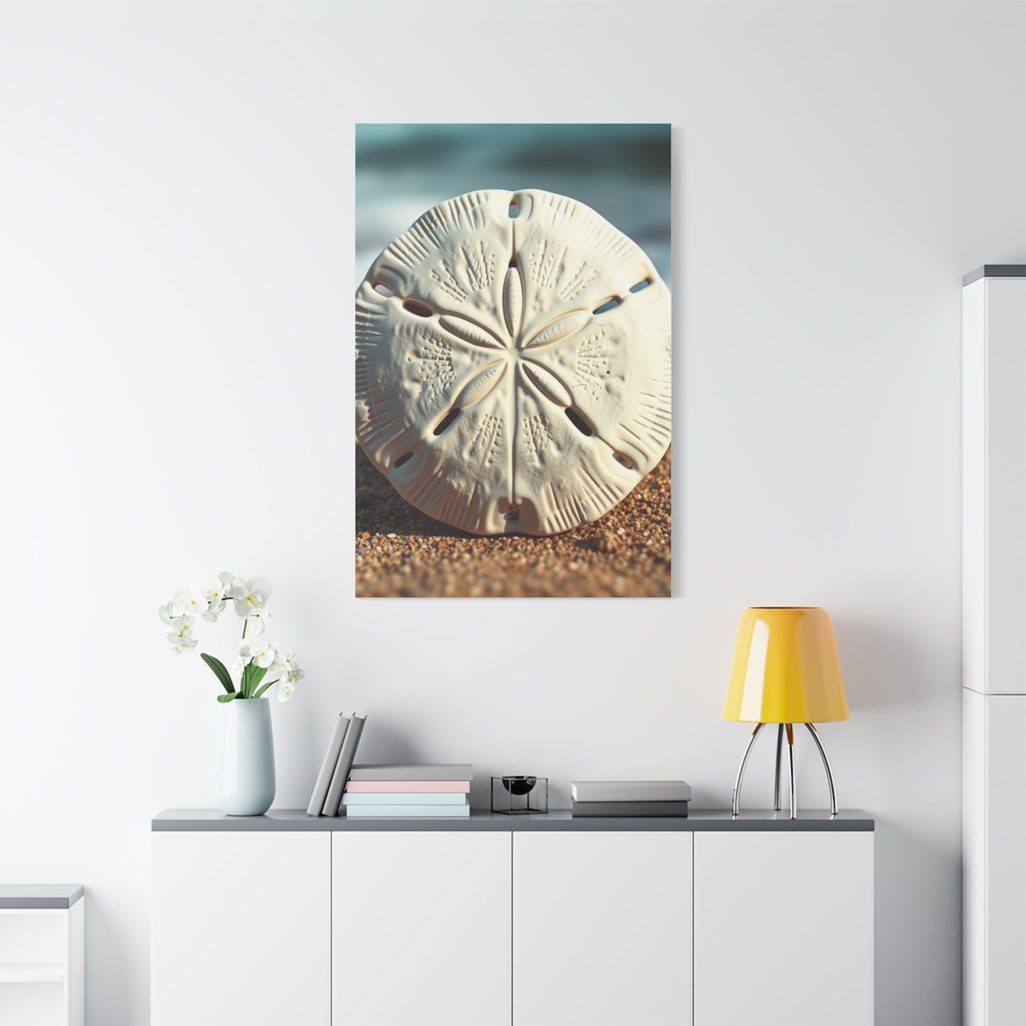 Supreme Sand Dollar Art Collection Wall Art & Canvas Print