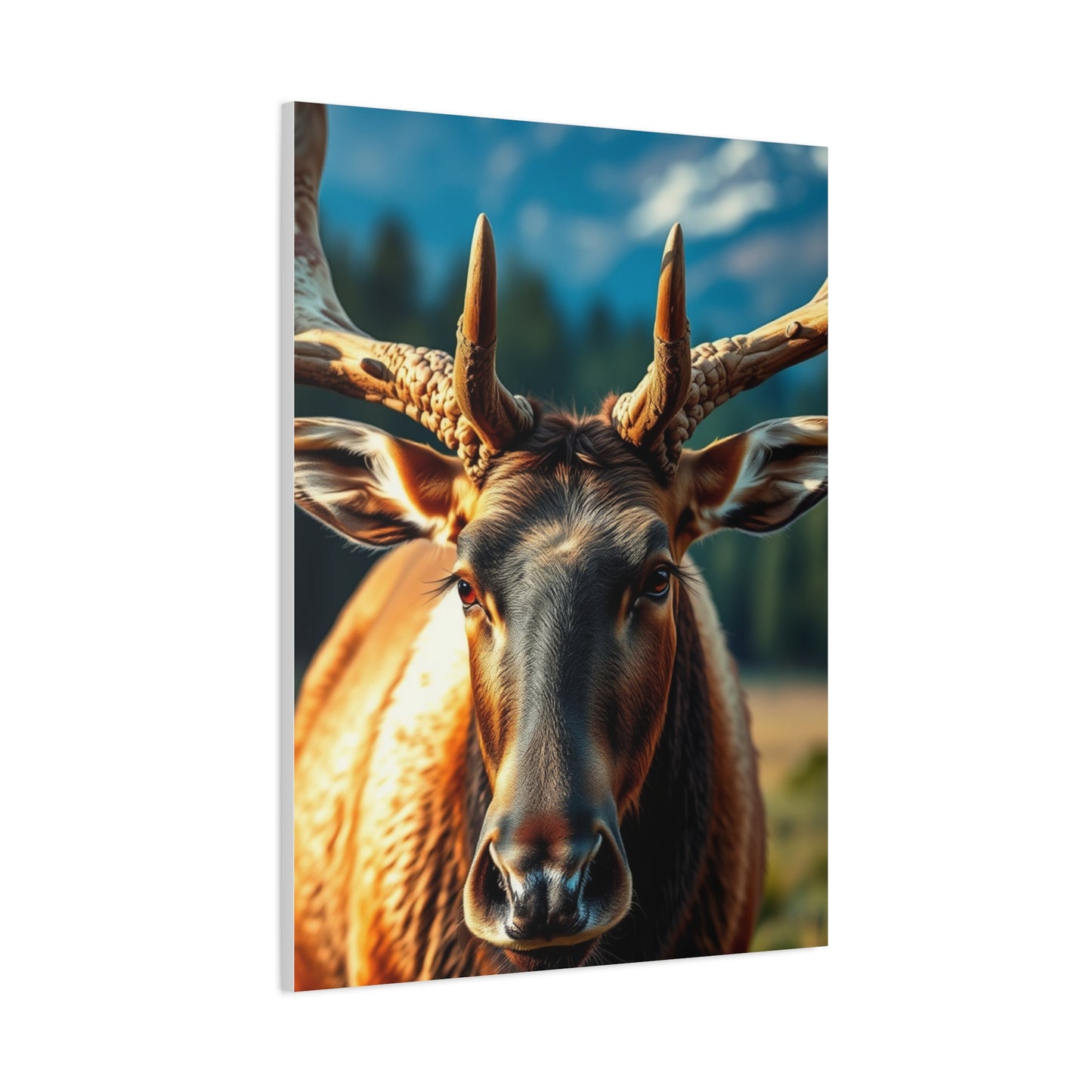 Supreme Elk Art Collection Wall Art & Canvas Print