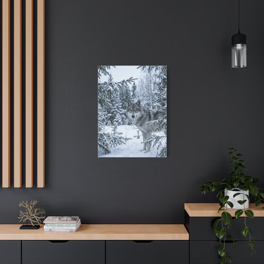 Winter Forest Wolf Natural Encounter Scene Wall Art & Canvas Print