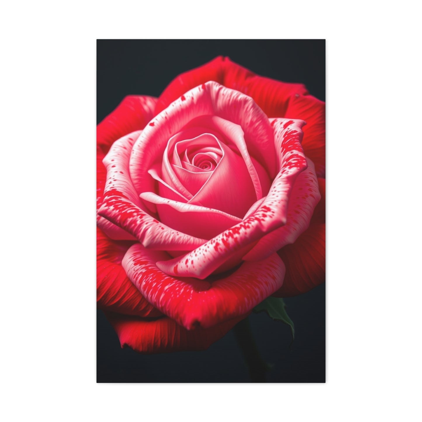 Collection Rose Flower Art Art Wall Art & Canvas Print