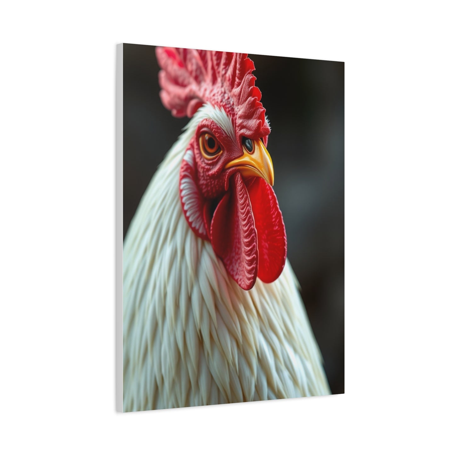 Elite Chicken & Rooster Wall Art Vision Wall Art & Canvas Print