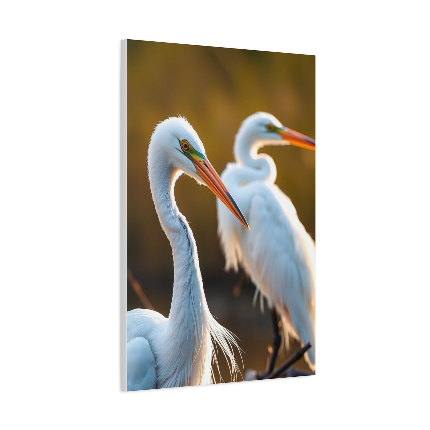 Herons and Egrets Art Luxury Canvas Wall Art & Canvas Print