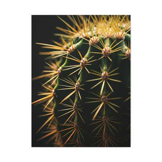 Desert Geometry Cactus Close-Up Wall Art & Canvas Prints