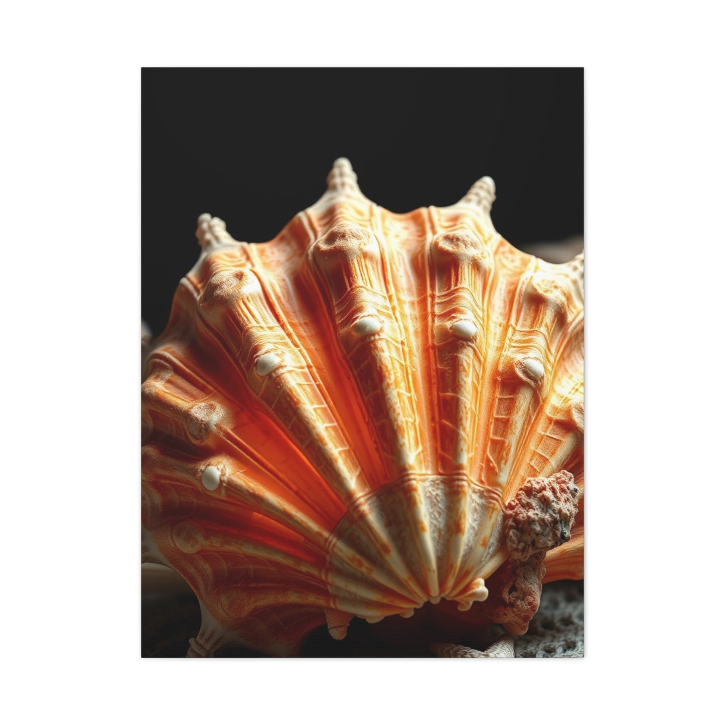 Sea Shell Art Supreme Gallery Wall Art & Canvas Print