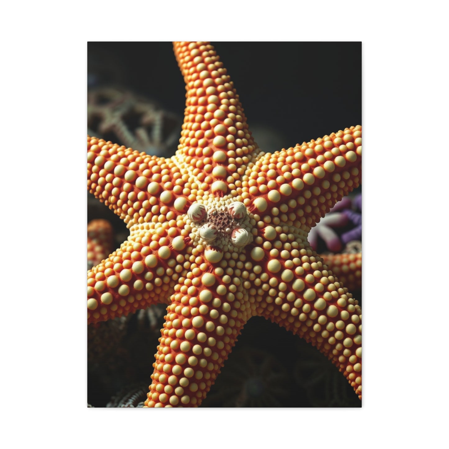 Supreme Starfish Art Collection Wall Art & Canvas Print