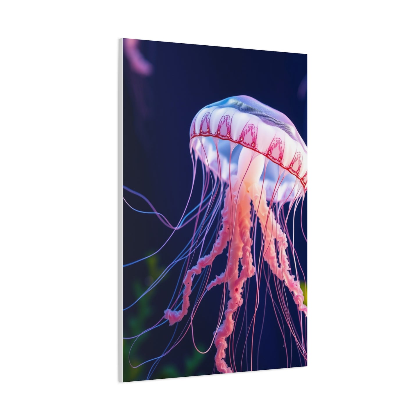 Jellyfish Art Supreme Gallery Wall Art & Canvas Print
