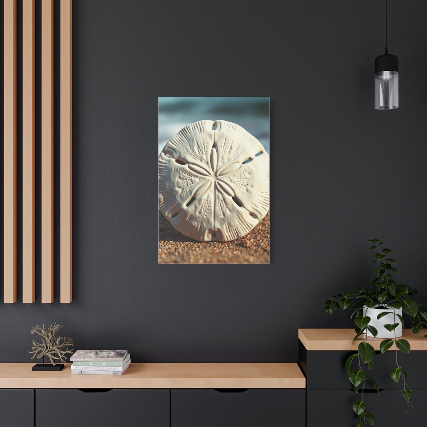 Supreme Sand Dollar Art Collection Wall Art & Canvas Print
