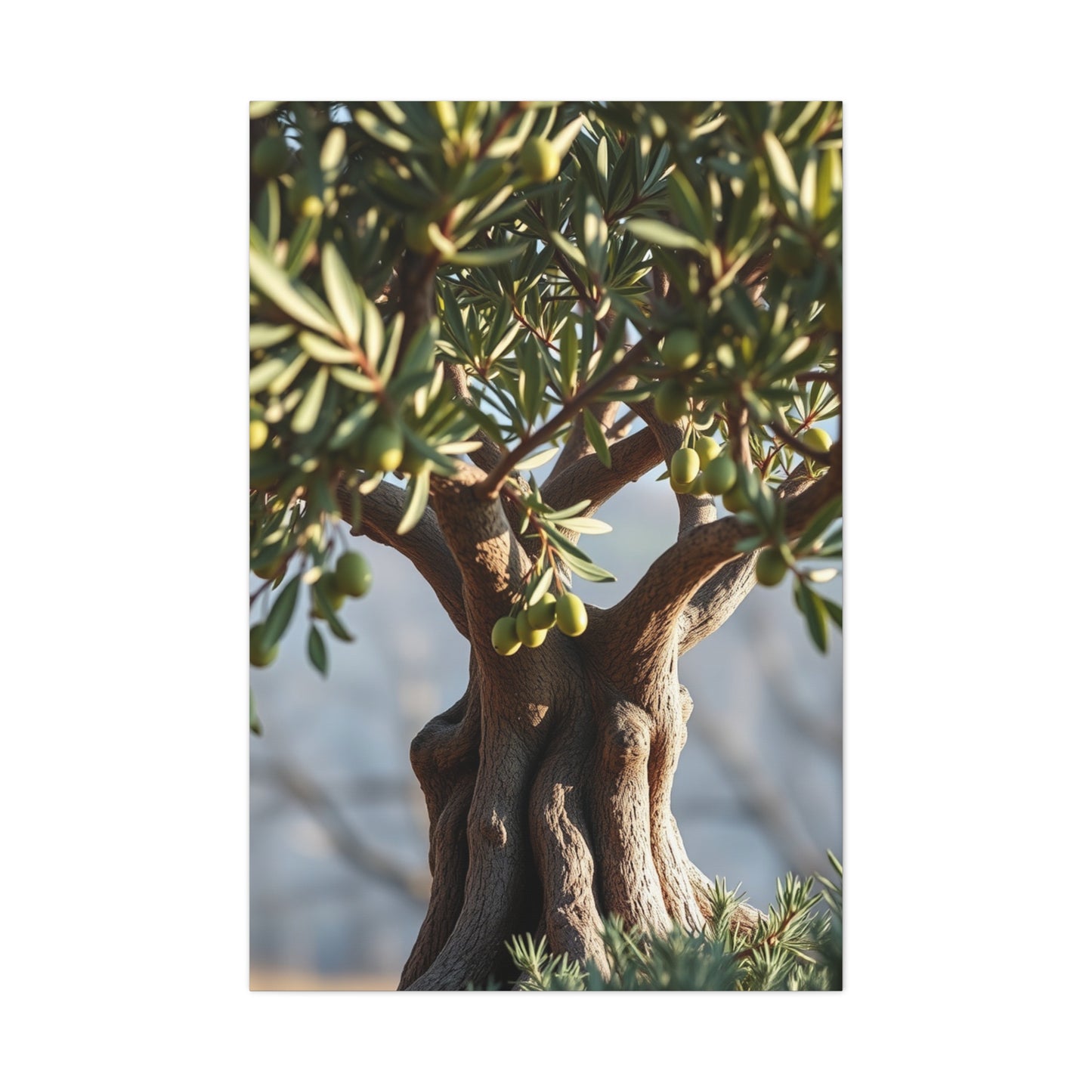 Elite Olive Tree Art Vision Wall Art & Canvas Print