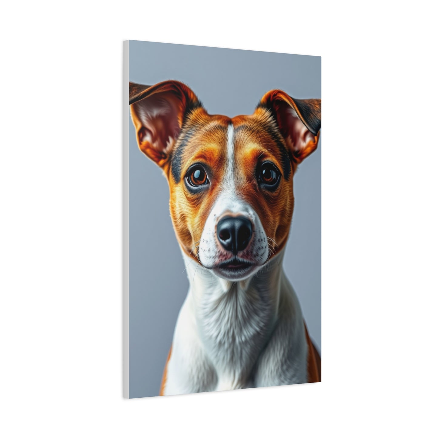 Jack Russell Terrier Art Supreme Gallery Wall Art & Canvas Print