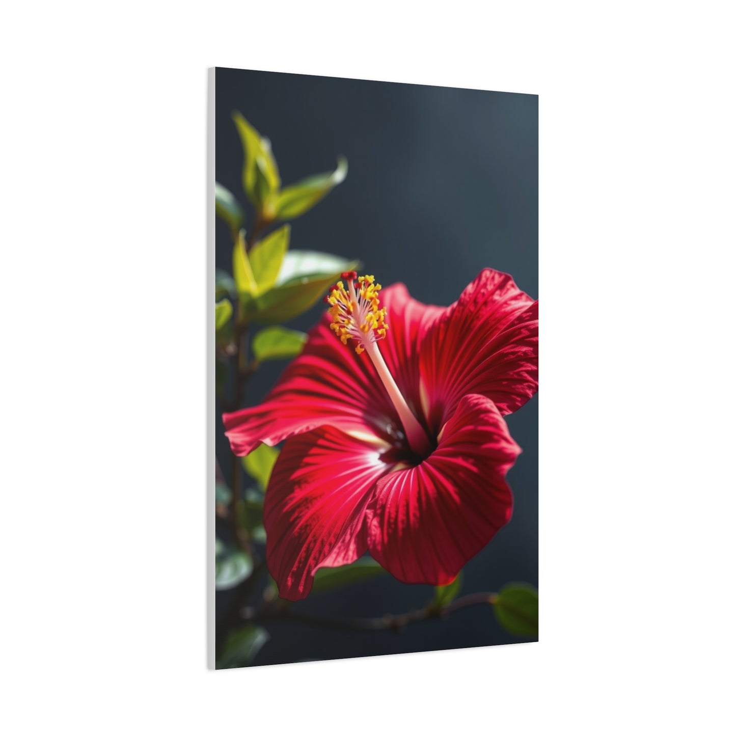 Hibiscus Flower Art Supreme Gallery Wall Art & Canvas Print