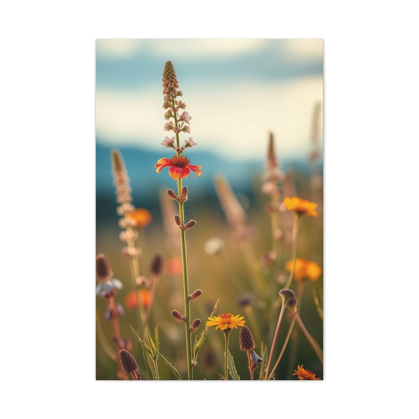 Supreme Wildflowers Art Collection Wall Art & Canvas Print
