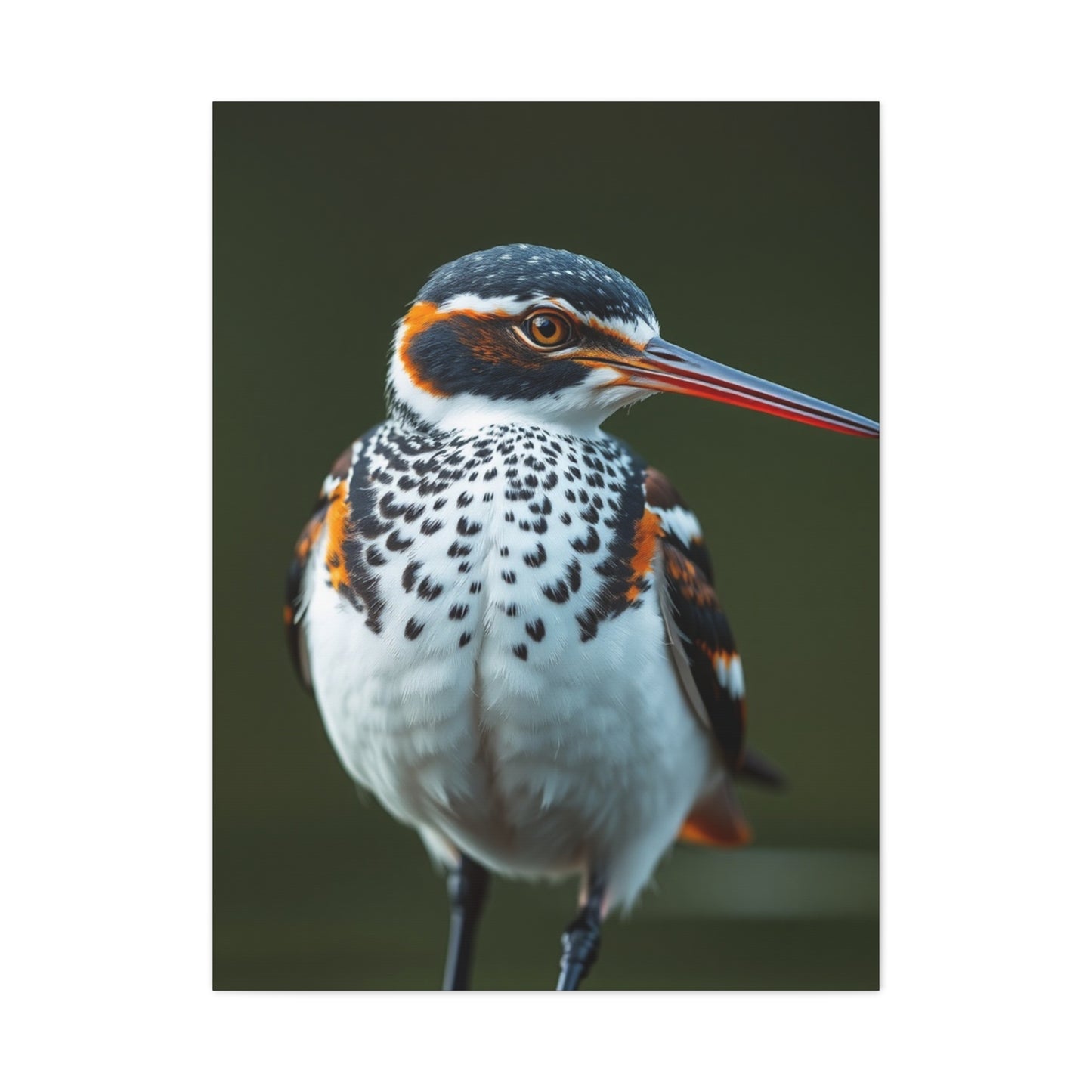 Collection Sandpiper Art Art Wall Art & Canvas Print