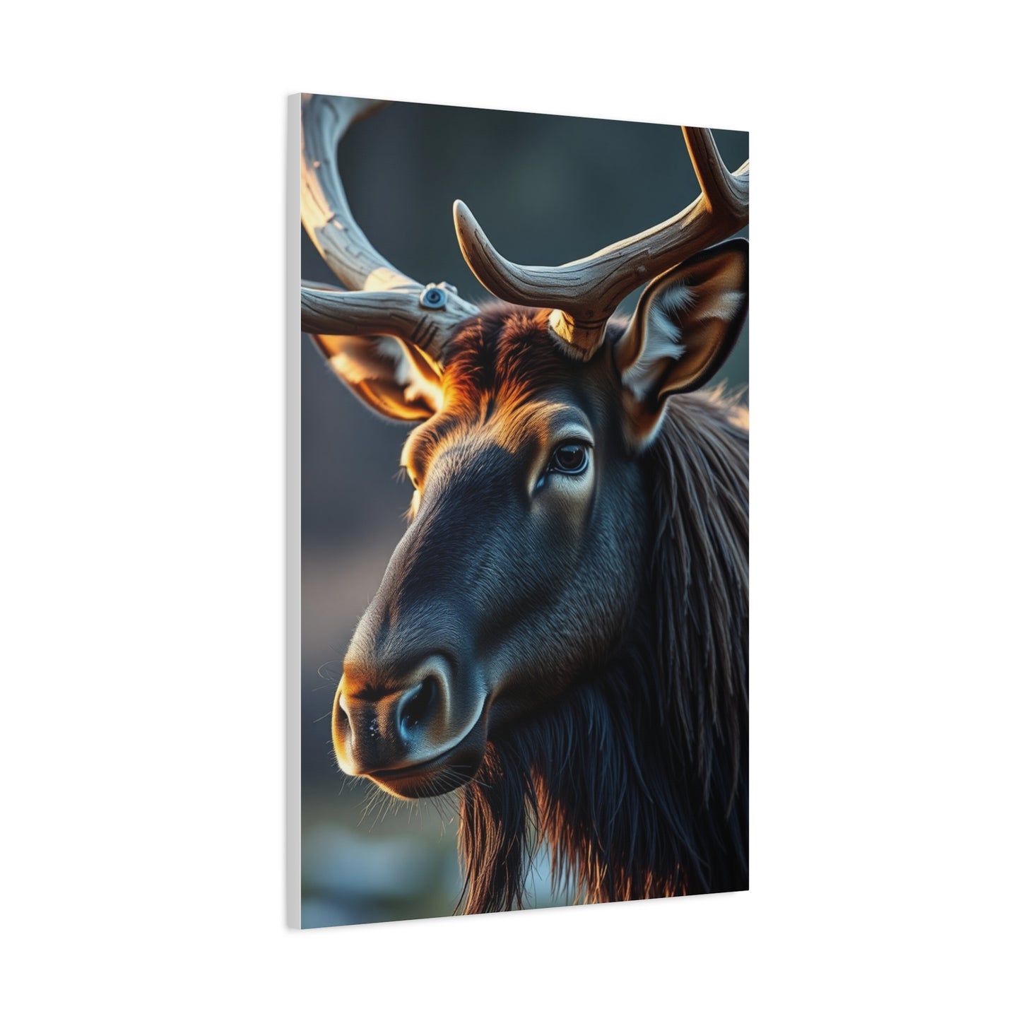 Elk Art Supreme Gallery Wall Art & Canvas Print