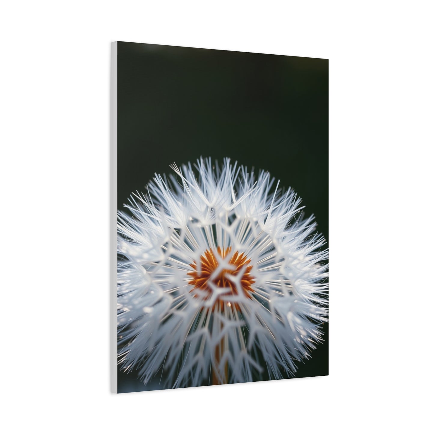 Elite Dandelion Flower Art Vision Wall Art & Canvas Print