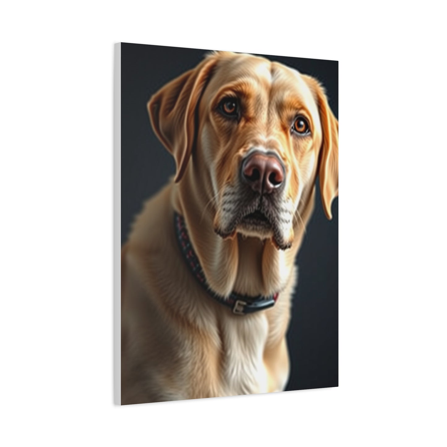Elite Labrador Retriever Art Vision Wall Art & Canvas Print