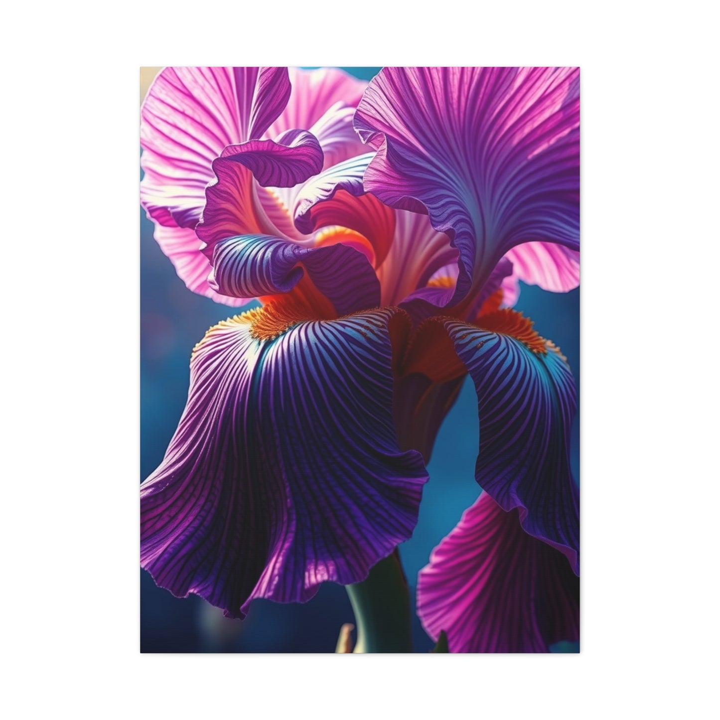 Supreme Iris Scott Art Collection Wall Art & Canvas Print
