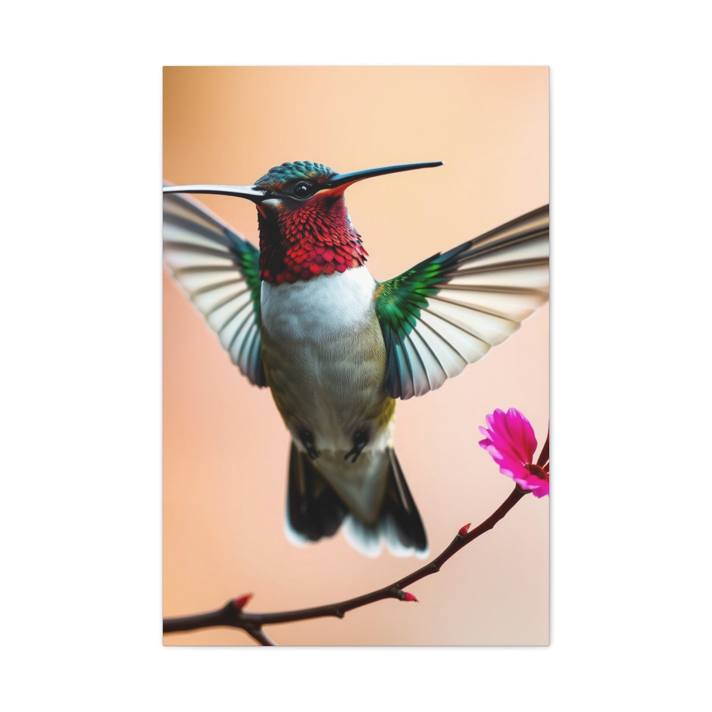 Elite Humming Bird Art Vision Wall Art & Canvas Print