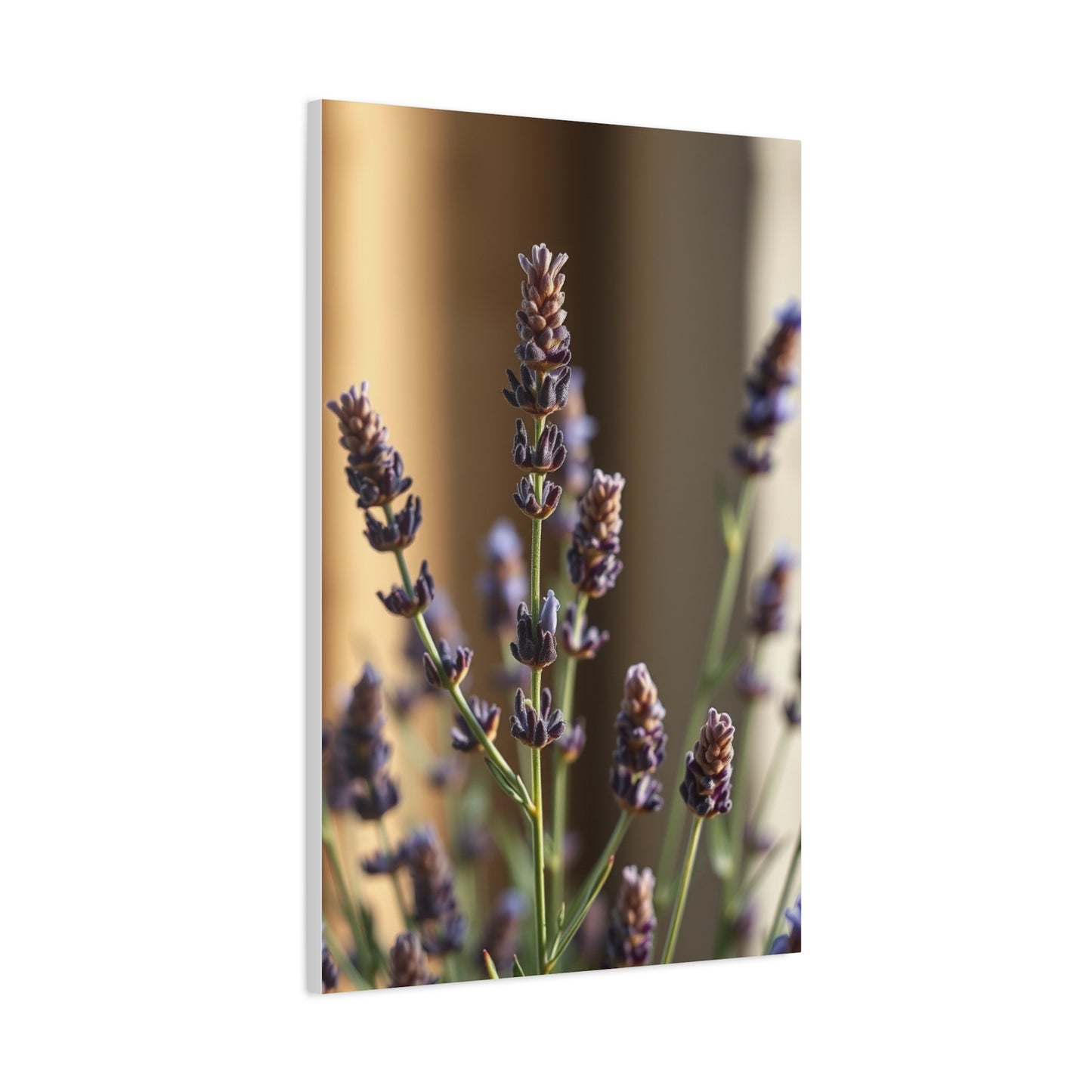 Lavender Herb Art Supreme Gallery Wall Art & Canvas Print