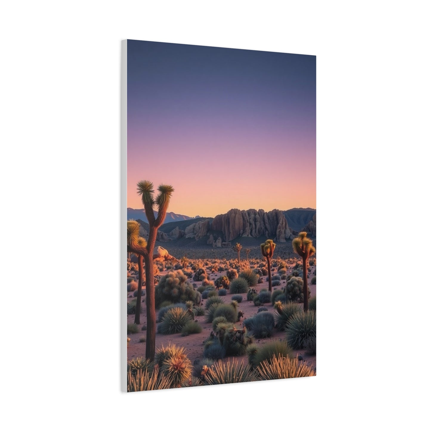 Joshua Tree National Park Art Supreme Gallery Wall Art & Canvas Print