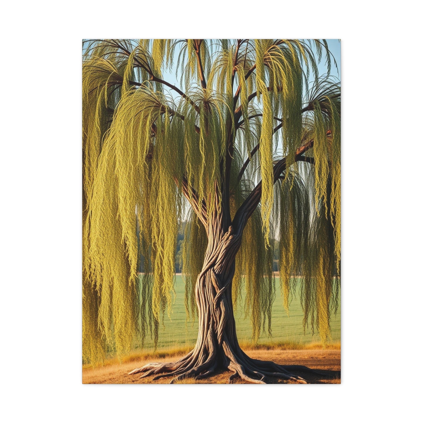 Supreme Willow Tree Art Collection Wall Art & Canvas Print
