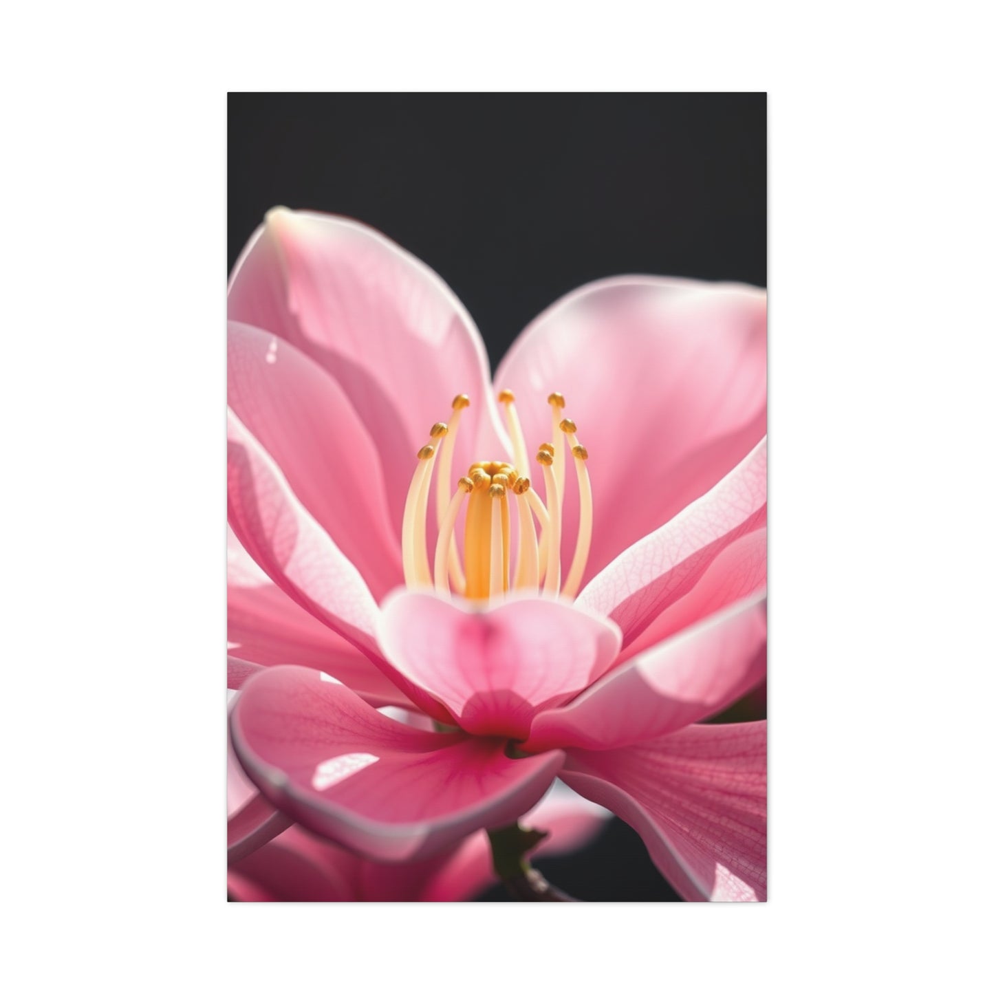 Magnolia Art Supreme Gallery Wall Art & Canvas Print