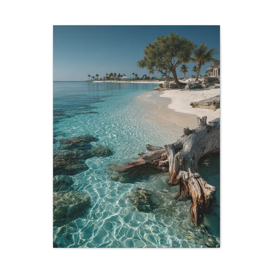 Tropical Driftwood Cove Wall Art & Canvas Print