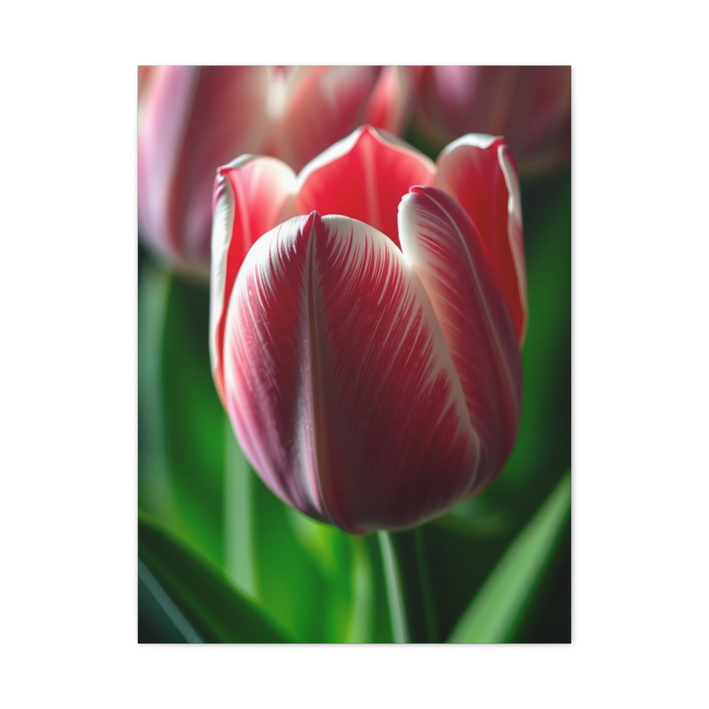 Supreme Tulip Flower Art Collection Wall Art & Canvas Print
