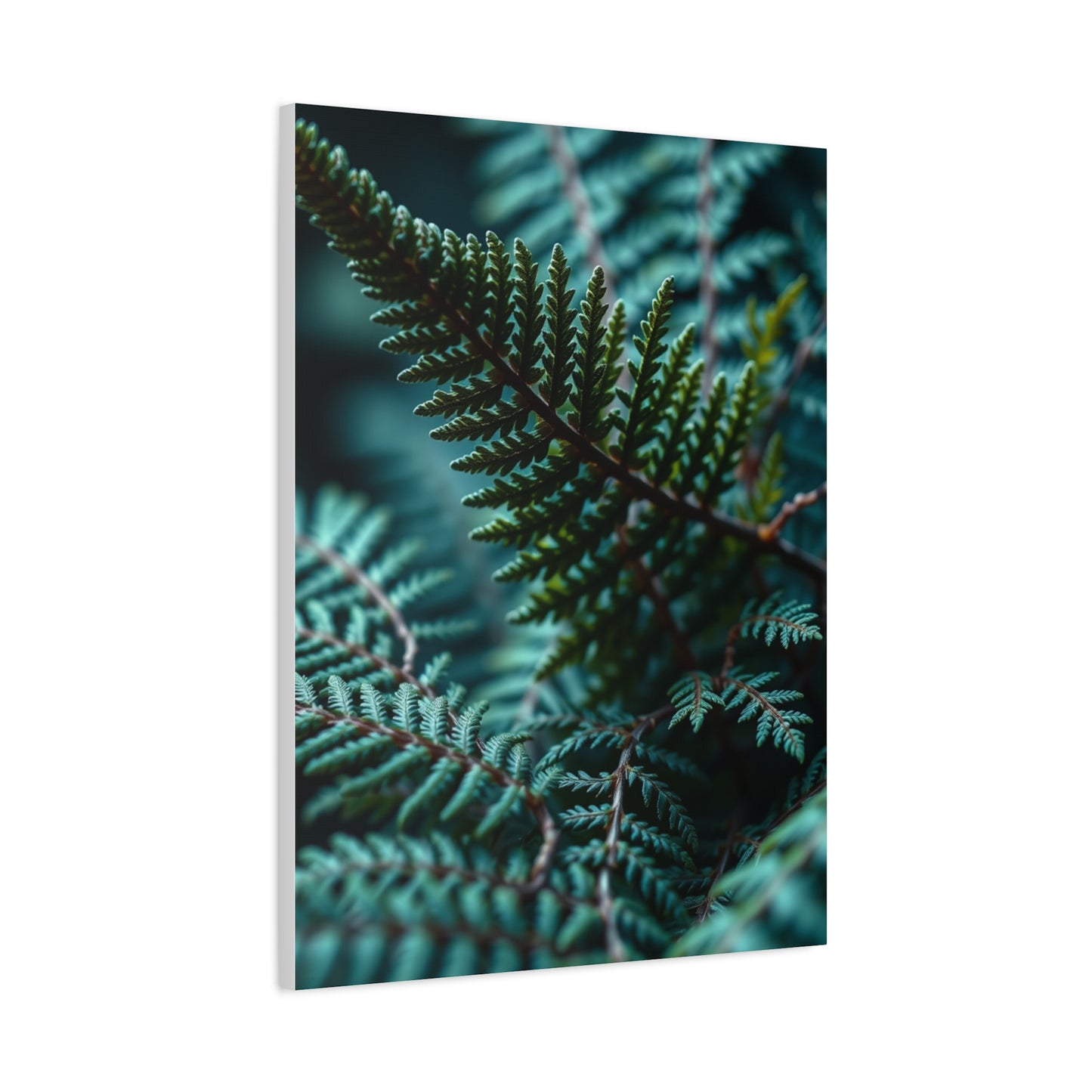 Collection Fern Art Art Wall Art & Canvas Print