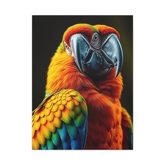 Supreme Parrot Art Collection Wall Art & Canvas Print