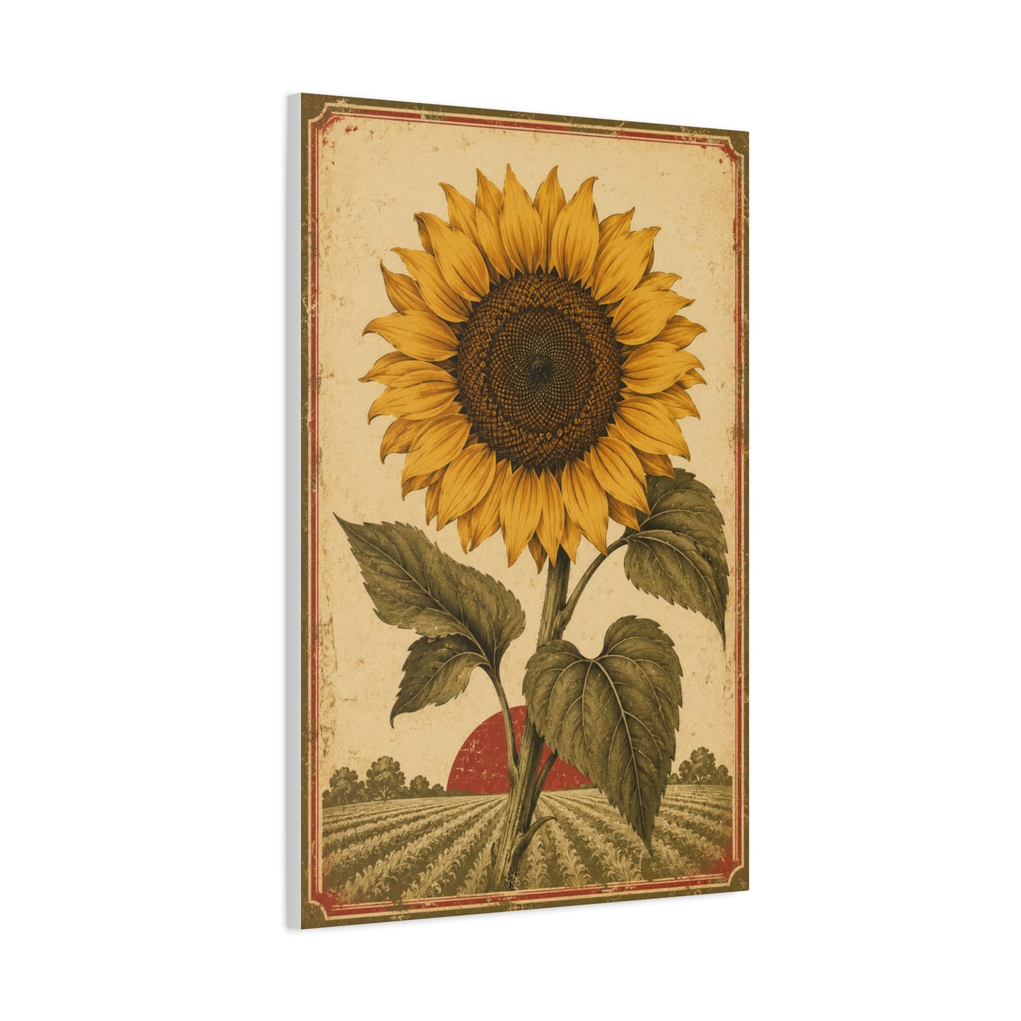 Heritage Field Sunflower Illustration Wall Art & Canvas Print