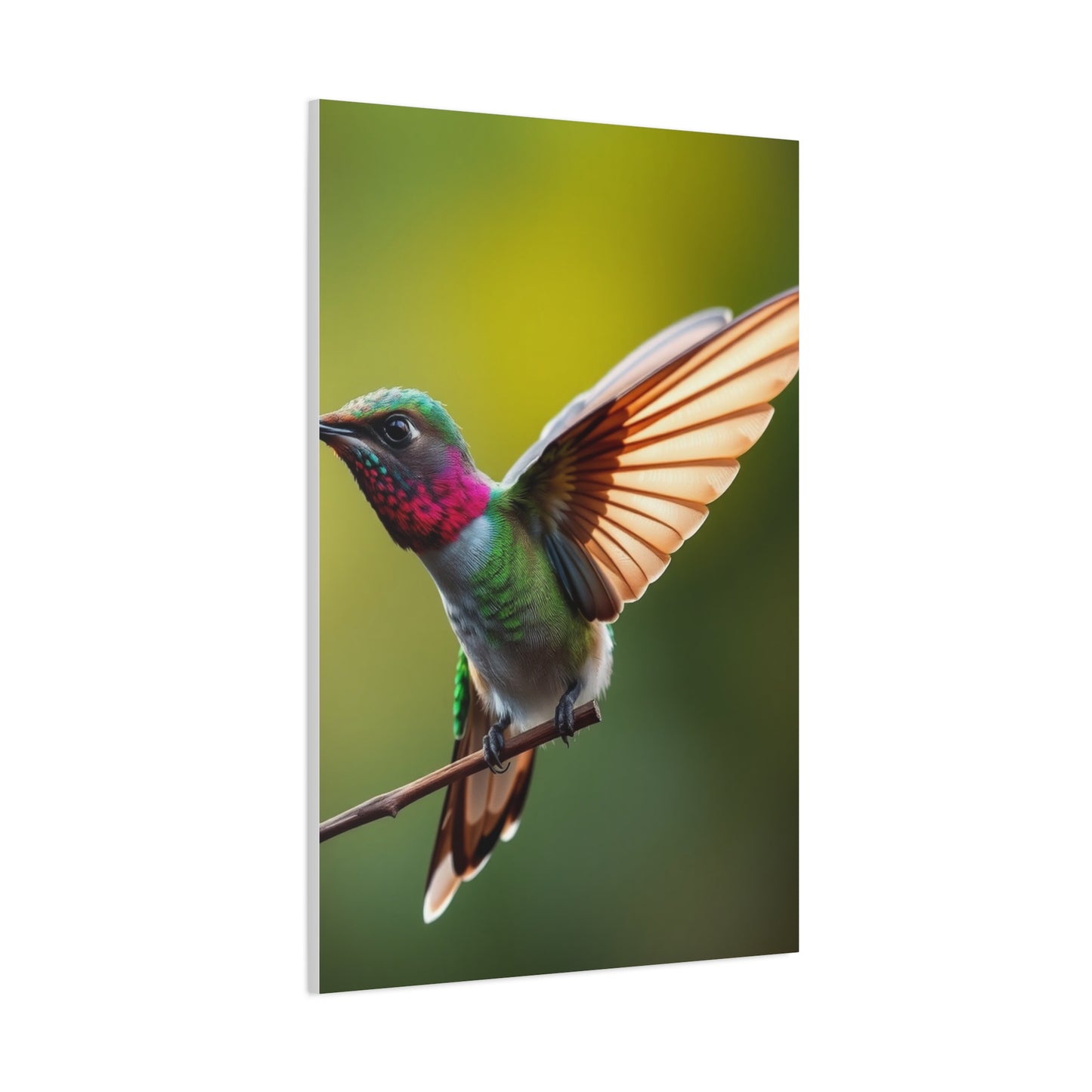 Collection Humming Bird Art Art Wall Art & Canvas Print