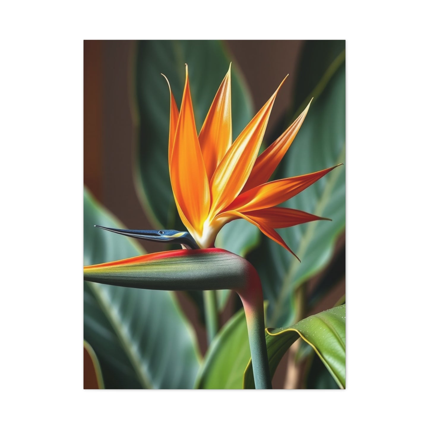 Elite Bird of Paradise Plant Art Vision Wall Art & Canvas Print