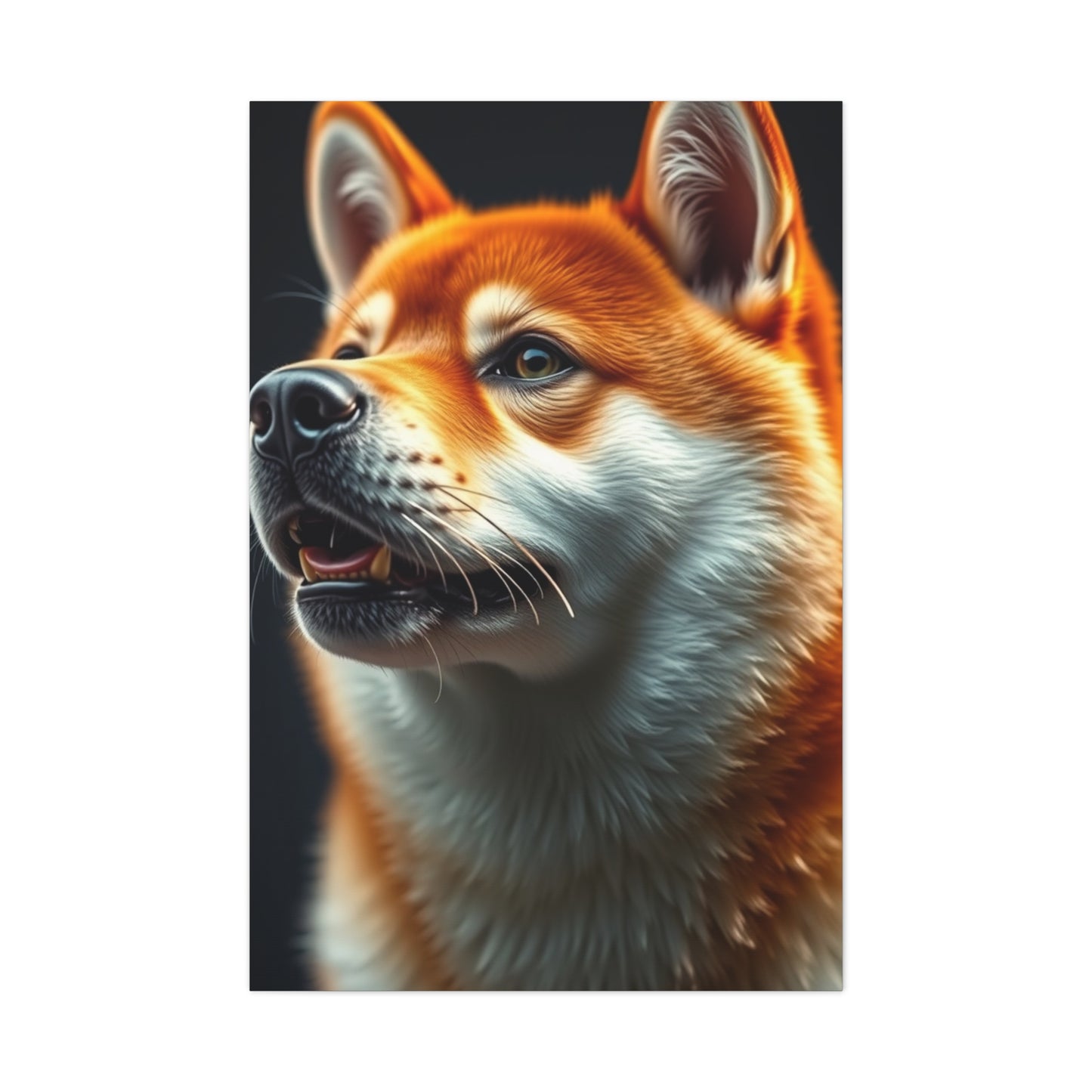 Shiba Inu Dog Art Supreme Gallery Wall Art & Canvas Print