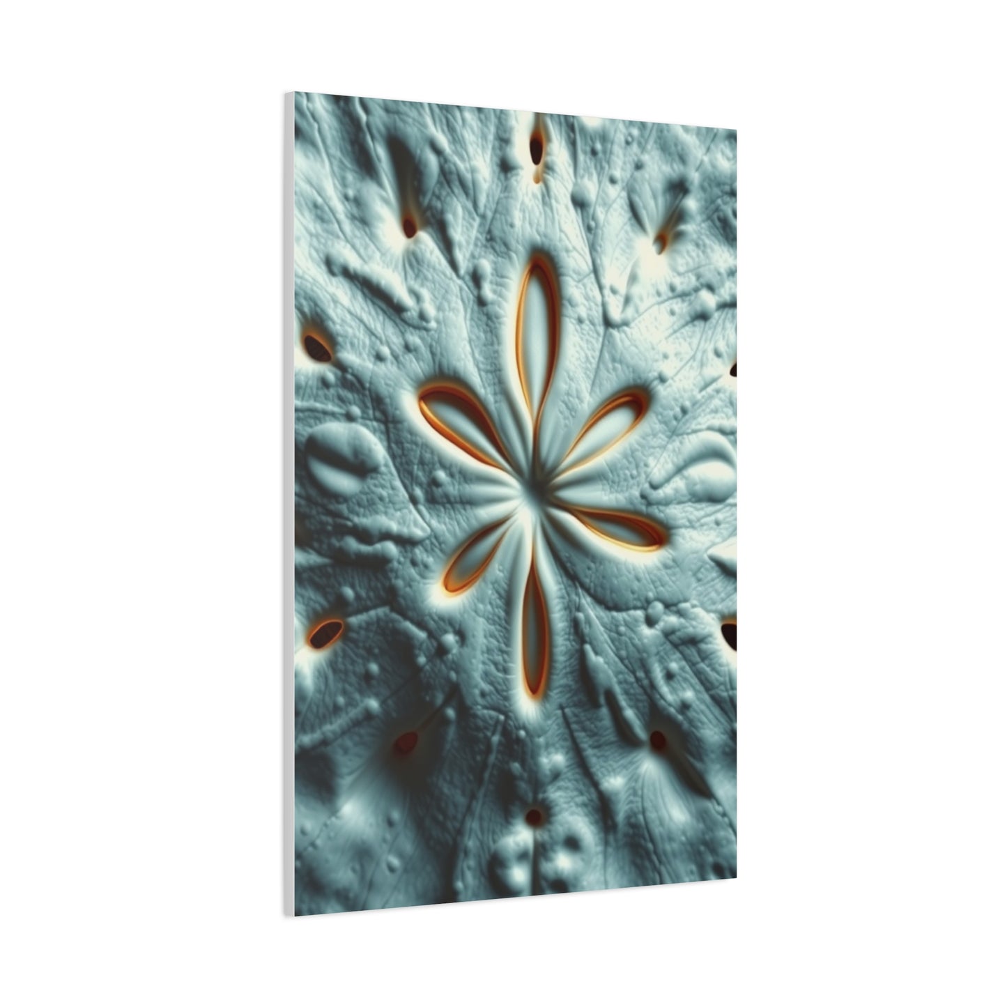 Sand Dollar Art Refined Canvas Wall Art & Canvas Print