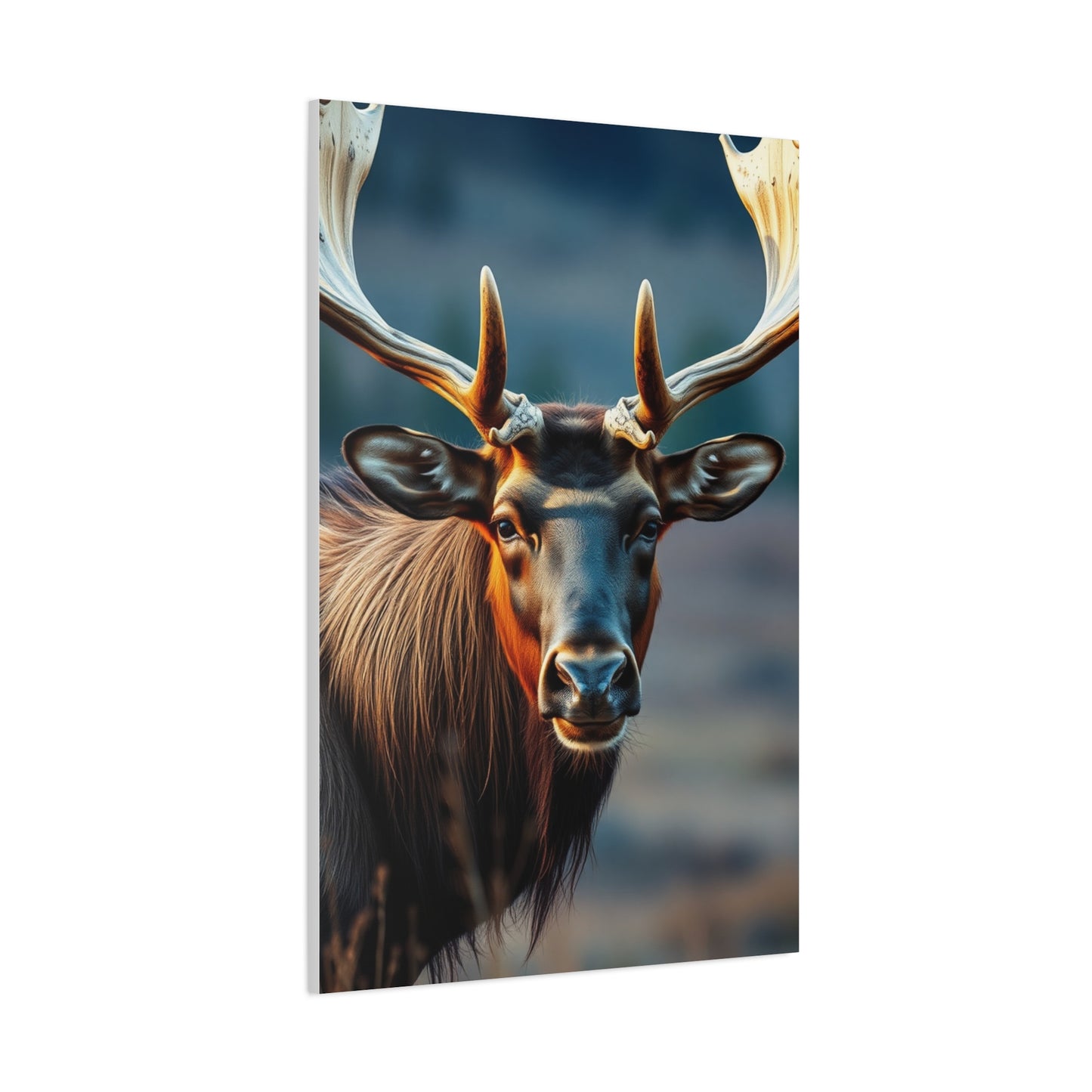 Elite Elk Art Vision Wall Art & Canvas Print