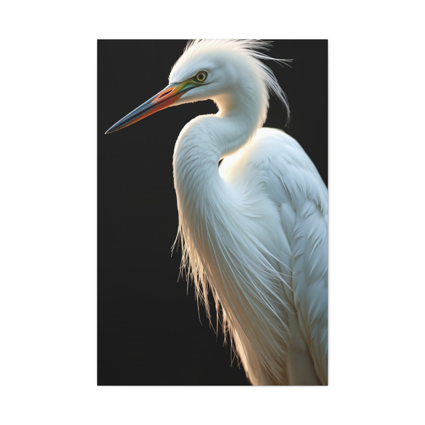 Supreme Egret Art Collection Wall Art & Canvas Print