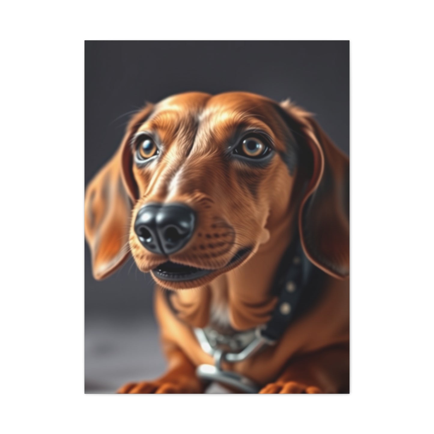 Collection Dachshund Art Art Wall Art & Canvas Print