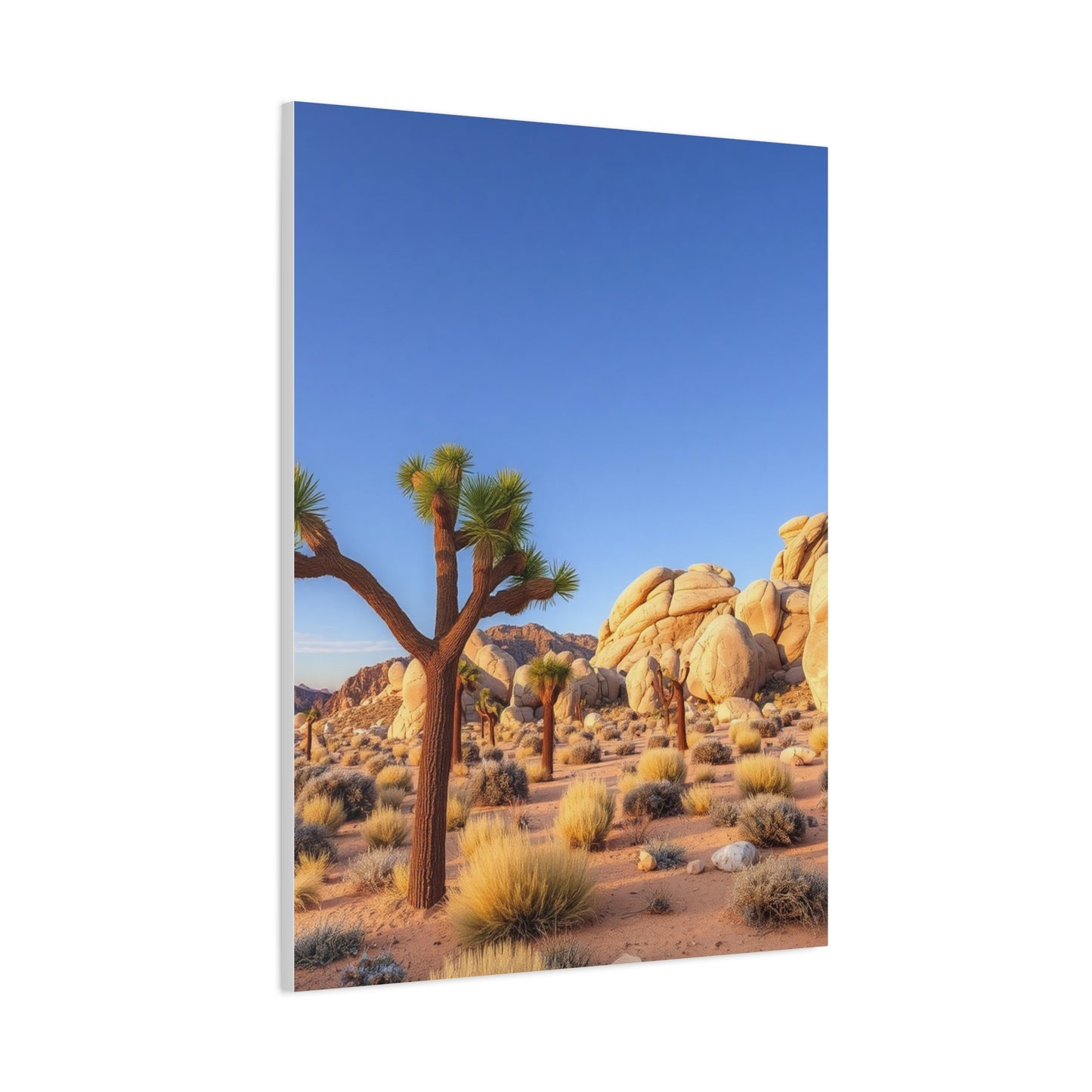 Joshua Tree National Park Art Supreme Gallery Wall Art & Canvas Print